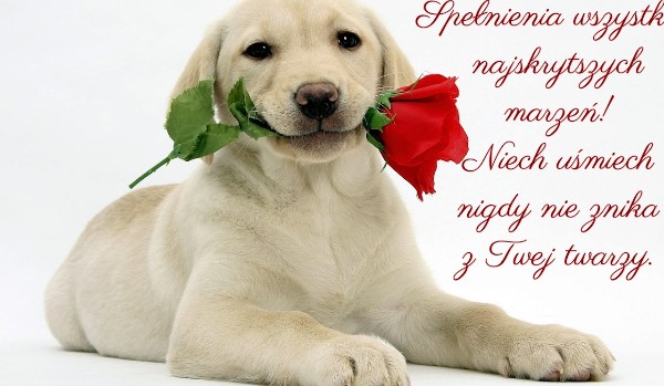 JAK DOBRZE ZNASZ BALDI’S BASIC