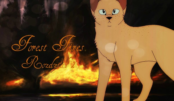 Forest Fires – Rozdział 2