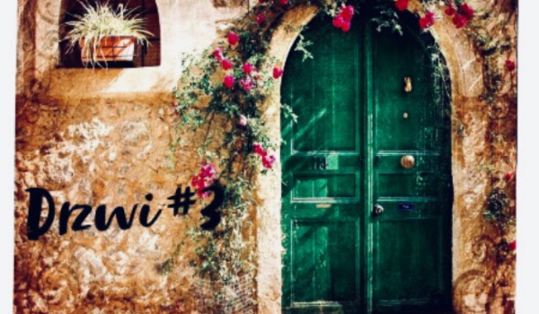 Drzwi #3
