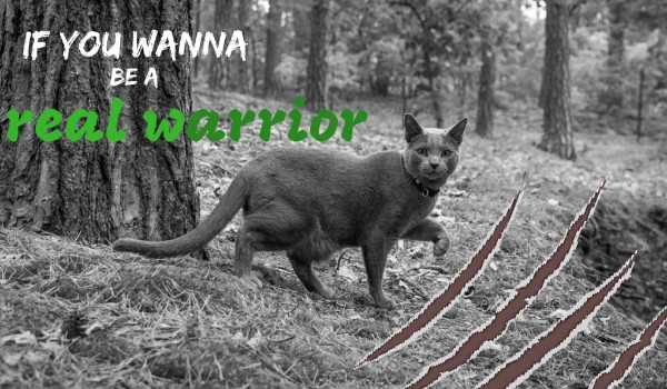 If you wanna be a real warrior #19