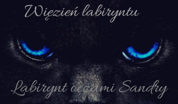 Więzień labiryntu: labirynt oczami Sandry #17
