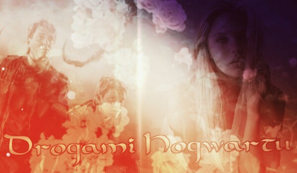 Drogami Hogwartu – Ruiny.