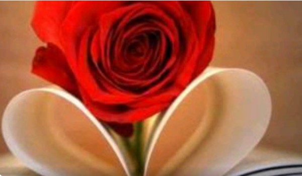 R.I.P. beautiful love #9 s2