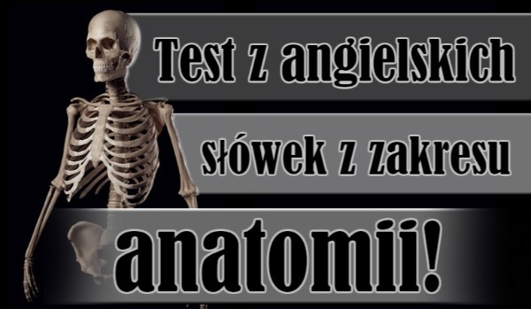 Test z angielskich słówek z zakresu anatomii. Cz.1