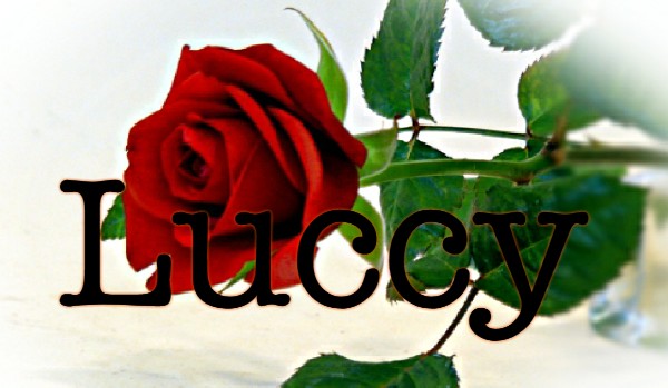 Luccy #2