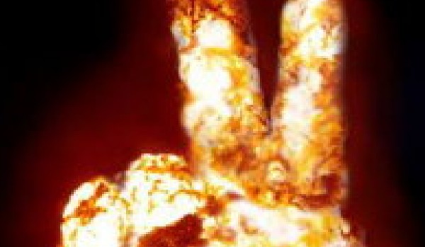 Ostatni schron- talksy!