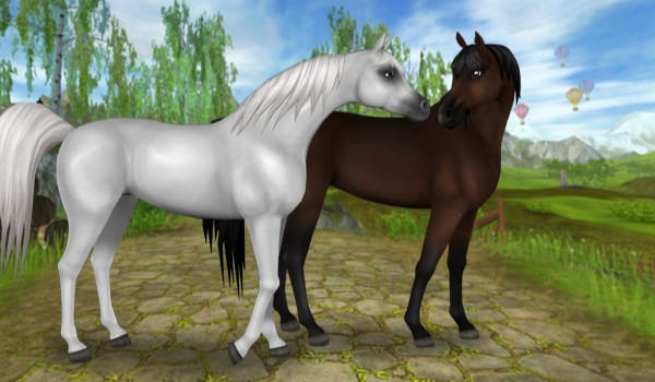 Czy araby do cb pasują?