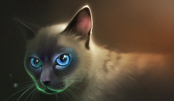 Wspólne konto#wyniki