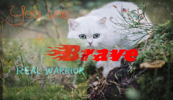 You are a brave, real warrior #4