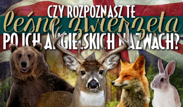 Czy rozpoznasz te leśne zwierzęta po ich angielskich nazwach? Sprawdź!