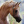 AvieHorses