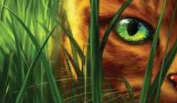 The heart testifies about the warrior #2