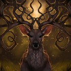OwcaZKorona