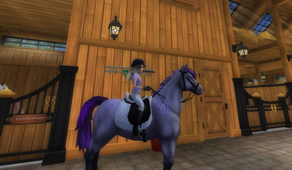 Moje zdjęcia z SSO#9