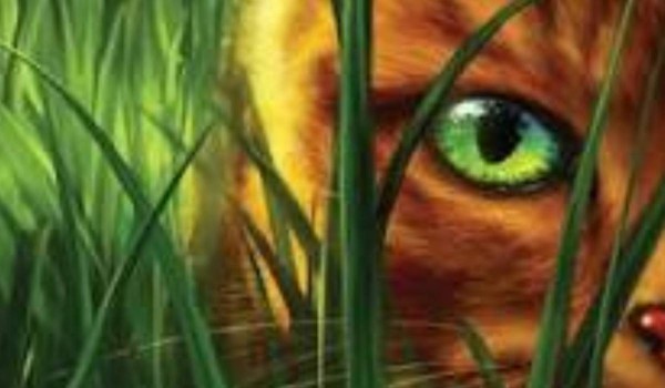 The heart testifies about the warrior #4