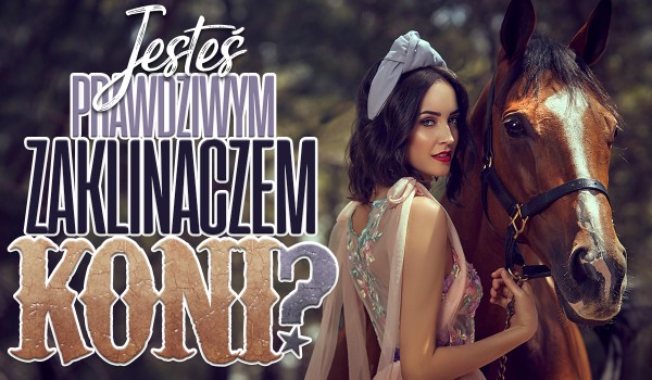 Czy jesteś prawdziwym zaklinaczem koni?