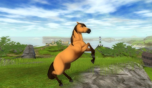 Moje zdjęcia z SSO#5