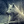 Ninjadog1