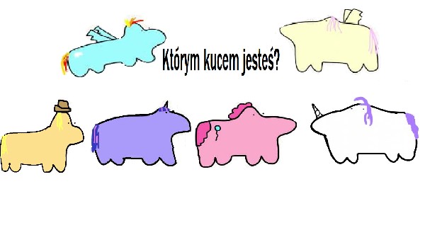 Którym kucem z bronksu jesteś?