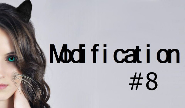 Modification #8