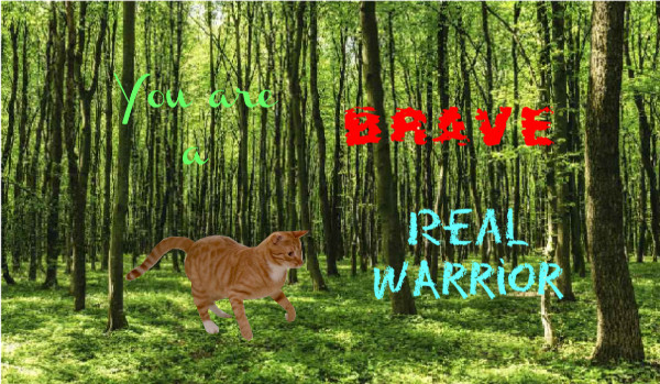 You are a brave, real warrior #6