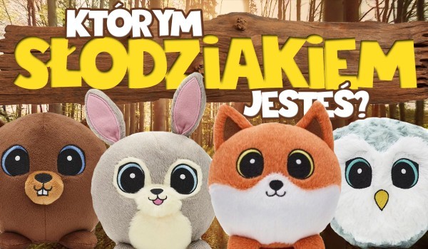 Którym słodziakiem jesteś?