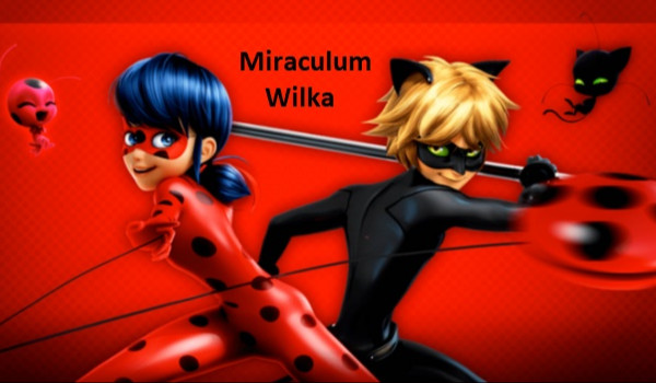 Miraculum Wilka #1