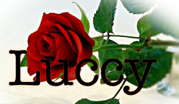 Luccy #3