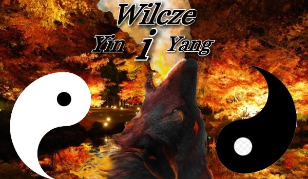 Wilcze Yin i Yang – początki #1