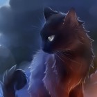 Zaobserwuje_wszystkie_koty