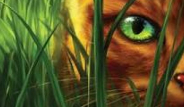 The heart testifies about the warrior #3