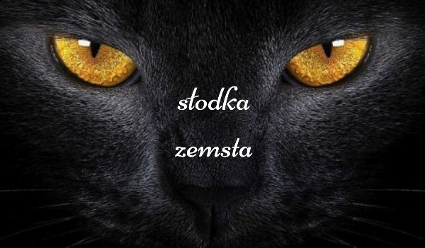 słodka zemsta spis kotów