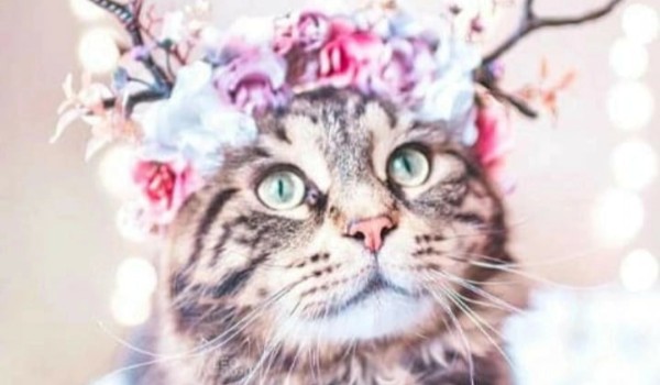 Moje malunki i rysunki