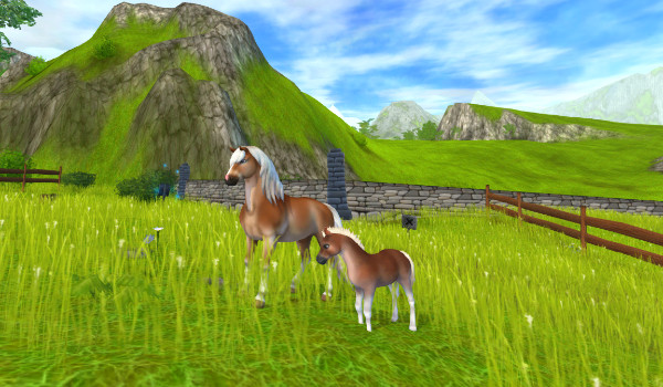 Moje zdjęcia z SSO#10