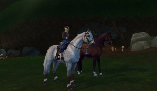 Moje zdjęcia z SSO#4