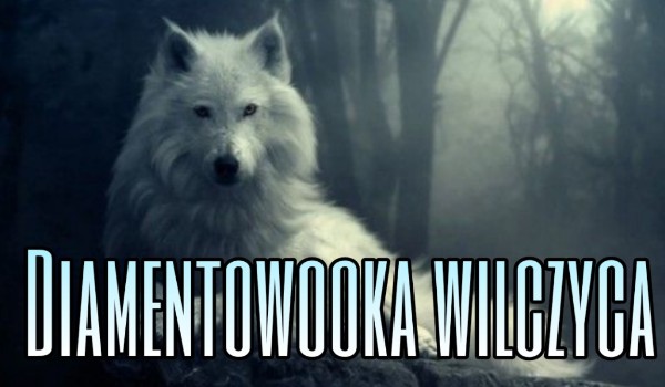Diamentowooka wilczyca  #5