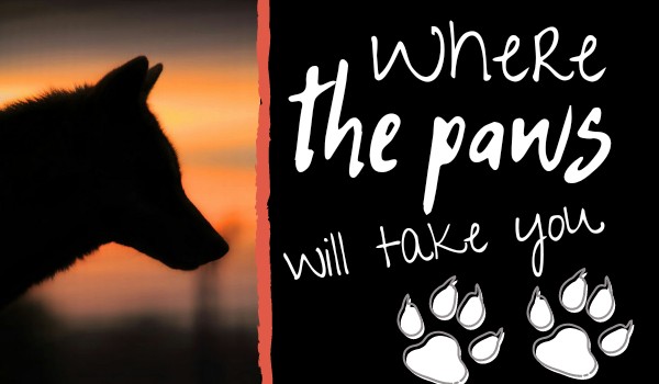 Where the paws will take you #8