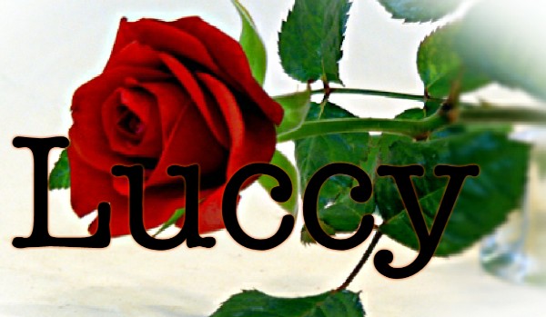 Luccy #4