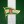 LechiaGdansk