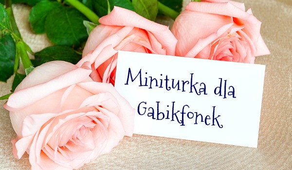 Miniaturka dla Gabikfonek