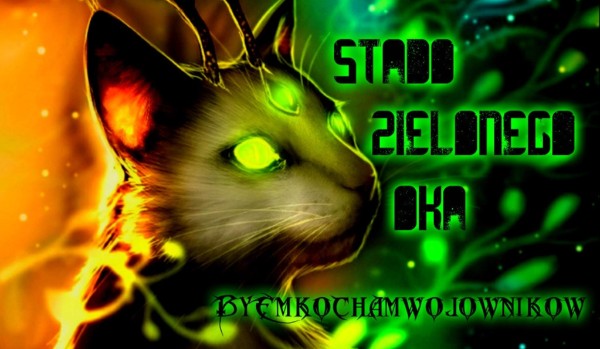 Stado zielonego oka!  Opis kotów