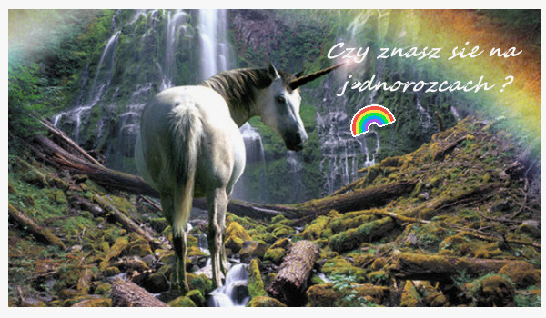 Czy znasz się na jednorożcach?
