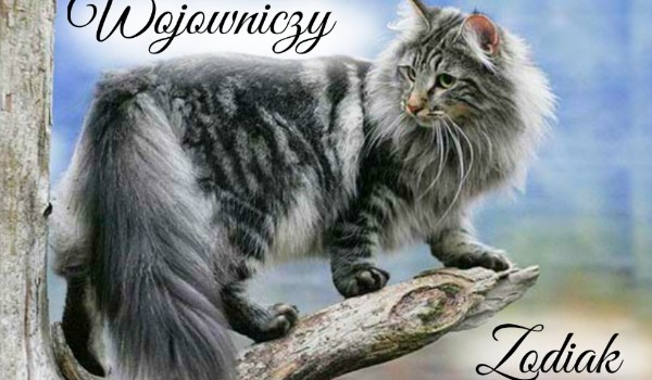 Wojowniczy Zodiak #4