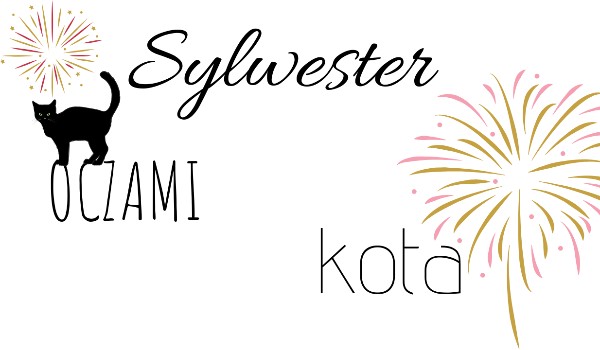 Sylwester oczami Kota