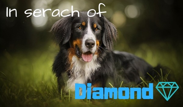 In Search Of Diamond #3