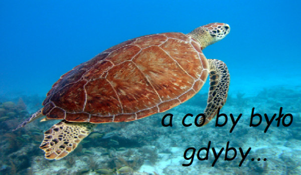 A co by było gdyby… #2