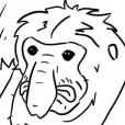 Jowicia2069