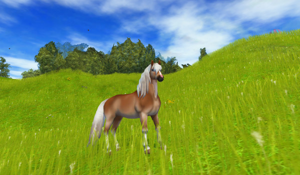 Moje zdjęcia z SSO#12