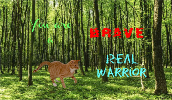 You are a brave, real warrior #7