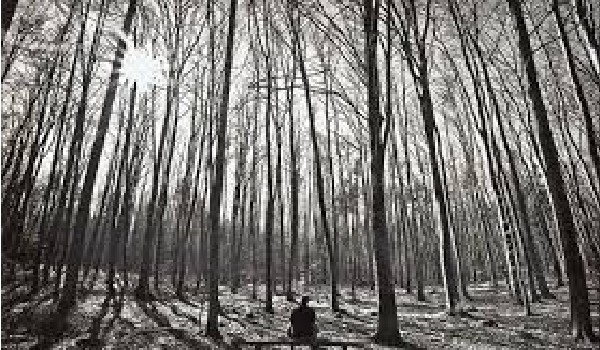 Baśniarz ,,Druga baśń”